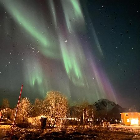 Pederstua, A Classic Fisherman'S Farm House In The Middle Of Lofoten Storeidet 외부 사진