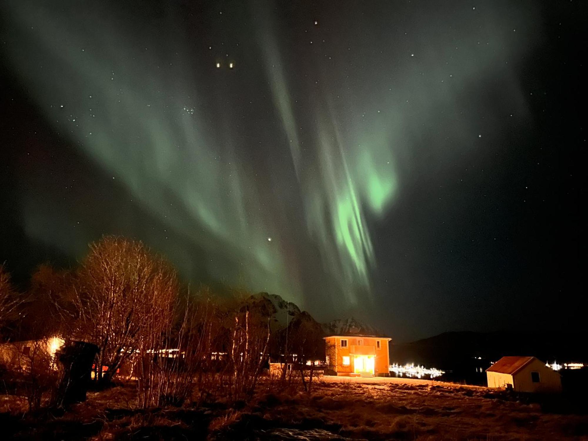 Pederstua, A Classic Fisherman'S Farm House In The Middle Of Lofoten Storeidet 외부 사진